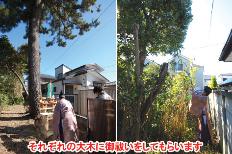 神奈川県藤沢市 大木の伐採・処分 施工事例
