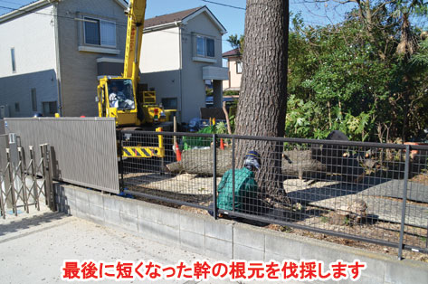 神奈川県藤沢市 大木の伐採・処分 施工事例