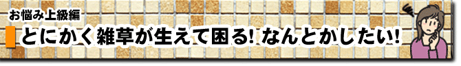 とにかく雑草が生えて困る！なんとかしたい！ 庭 ガーデン エクステリア 造園 剪定 雑草 除草 草取り お庭のリフォームはグリーンパトロール 神奈川県・鎌倉市・横浜市・川崎市・相模原市・藤沢市・茅ヶ崎市・厚木市・大和市・海老名市・小田原市・二宮町・大磯町・寒川町・平塚市