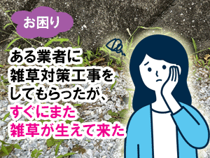 ある業者に雑草対策工事をしてもらったが、すぐにまた雑草が生えて来た/後悔しない!賢い造園外構業者・エクステリア業者・庭工事業者の選び方~フェンス,カーポート,庭工事,外構業者,造園業者,造園外構業者,庭リフォーム工事会社,エクステリア工事業者,庭リフォーム業者,植木屋,選び方,探し方,探し方,おすすめ,メリット,デメリット