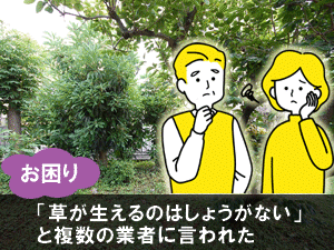 「草が生えるのはしょうがない」と複数の業者に言われた／後悔しない！賢い造園外構業者・エクステリア業者・庭工事業者の選び方～フェンス,カーポート,庭工事,外構業者,造園業者,造園外構業者,庭リフォーム工事会社,エクステリア工事業者,庭リフォーム業者,植木屋,選び方,探し方,探し方,おすすめ,メリット,デメリット