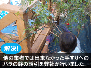 他の業者では出来なかった手すりへのバラの幹の誘引を弊社が行いました／後悔しない！賢い造園外構業者・エクステリア業者・庭工事業者の選び方～フェンス,カーポート,庭工事,外構業者,造園業者,造園外構業者,庭リフォーム工事会社,エクステリア工事業者,庭リフォーム業者,植木屋,選び方,探し方,探し方,おすすめ,メリット,デメリット