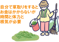 自分で草取りをするとお金はかからないが時間と体力と根気が必要~お金をかけない・安価・お金のかからない・お金のかからない庭、お金をかけない庭作りの知識・こつ・アイデア