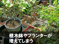 植木鉢やプランターがどんどん増えて置く場所に困ってしまう~お金をかけない・安価・お金のかからない・お金のかからないお金をかけない庭を綺麗にするコツ