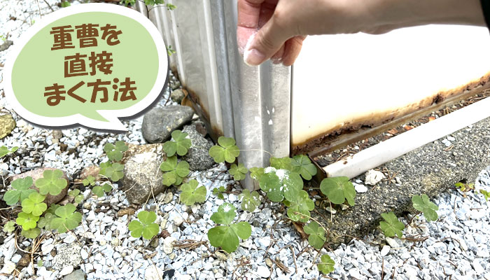 重曹を使った雑草対策の2つの方法 (1) 粉末を直接まく方法~重曹,効果,雑草対策,使い方,やり方,方法,枯れる,駆除,除草,メリット,デメリット,濃度,安全性,環境