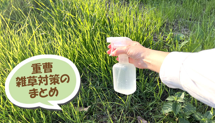 重曹を使った雑草対策のまとめ~重曹,効果,雑草対策,使い方,やり方,方法,枯れる,駆除,除草,メリット,デメリット,濃度,安全性,環境