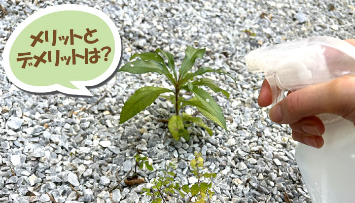 重曹で雑草対策を行うメリット・デメリット~重曹,効果,雑草対策,使い方,やり方,方法,枯れる,駆除,除草,メリット,デメリット,濃度,安全性,環境