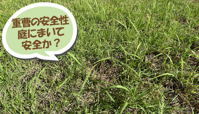 重曹の安全性 庭にまいて安全か?土壌への影響は?~重曹,効果,雑草対策,使い方,やり方,方法,枯れる,駆除,除草,メリット,デメリット,濃度,安全性,環境