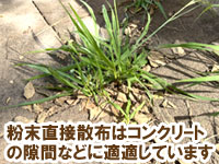 粉末を直接まく方法は、コンクリートやレンガの隙間などの場所に適しています~重曹,効果,雑草対策,使い方,やり方,方法,枯れる,駆除,除草,メリット,デメリット,濃度,安全性,環境