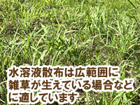 水で薄めて散布する方法は、広範囲に雑草が生えている場合に適しています~重曹,効果,雑草対策,使い方,やり方,方法,枯れる,駆除,除草,メリット,デメリット,濃度,安全性,環境