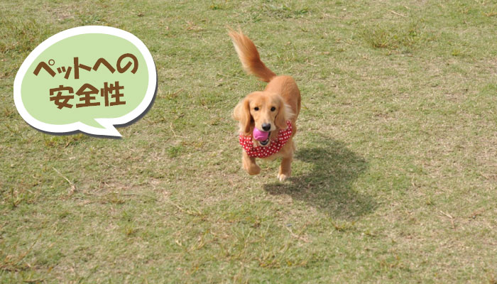 ペットへの安全性~重曹,効果,雑草対策,使い方,やり方,方法,枯れる,駆除,除草,メリット,デメリット,濃度,安全性,環境