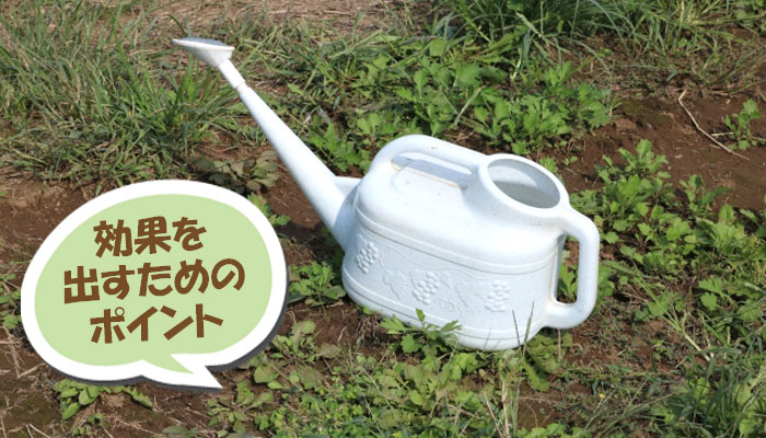重曹を使った雑草対策 効果を出すためのポイント~重曹,効果,雑草対策,使い方,やり方,方法,枯れる,駆除,除草,メリット,デメリット,濃度,安全性,環境