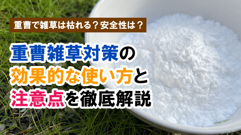 重曹で雑草は枯れる?安全性は?重曹雑草対策の効果的な使い方と注意点を徹底解説