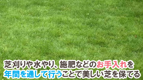 芝刈りや水やり、施肥などのお手入れを年間を通して行うことで美しい芝を保てる~天然芝生のお手入れ・管理方法と雑草対策/芝生の雑草対策,雑草対策,天然芝生,芝生,お手入れ,管理方法,メンテナンス,メリット,デメリット