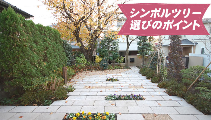 シンボルツリー選びのポイント～庭に植えるシンボルツリー10選｜植えて良かった!おしゃれで育てやすい庭木の選び方／シンボルツリー,庭木,植木,おしゃれ,選び方,植え方,目隠し,費用,メンテナンス,常緑樹,花が咲く,実がなる,落ち葉が少ない,病害虫に強い