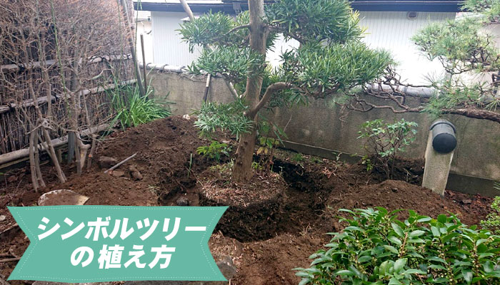 シンボルツリーの植え方～庭に植えるシンボルツリー10選｜植えて良かった!おしゃれで育てやすい庭木の選び方／シンボルツリー,庭木,植木,おしゃれ,選び方,植え方,目隠し,費用,メンテナンス,常緑樹,花が咲く,実がなる,落ち葉が少ない,病害虫に強い