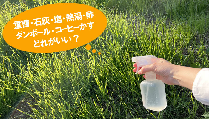 DIY雑草対策の比較と選び方～重曹・石灰・塩・熱湯・ダンボール・コーヒーかす・酢で雑草対策の比較とメリット・デメリット～DIY雑草対策7選,比較,草ボーボー