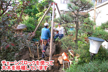 神奈川県茅ヶ崎市Ｎ様　レンガと石張りで洋風ガーデン 雑草対策造園施工例