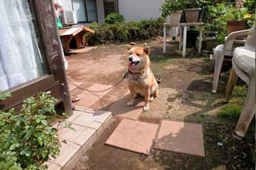 神奈川県茅ヶ崎市Ｎ様　レンガと石張りで洋風ガーデン 雑草対策造園施工例