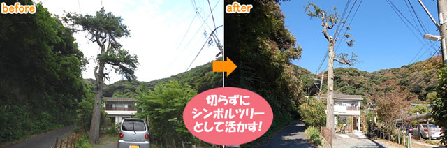 めんどうな落ち葉掃除・庭掃除、もうしたくない!落ち葉掃除を簡単にする解決方法をご紹介 (茅ヶ崎市・寒川町・藤沢市・鎌倉市・平塚市)