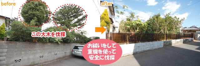 めんどうな落ち葉掃除・庭掃除、もうしたくない!落ち葉掃除を簡単にする解決方法をご紹介 (茅ヶ崎市・寒川町・藤沢市・鎌倉市・平塚市)