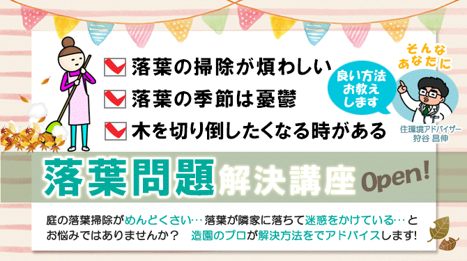 めんどうな落ち葉掃除・庭掃除、もうしたくない！落ち葉掃除を簡単にする解決方法をご紹介  (茅ヶ崎市・寒川町・藤沢市・鎌倉市・平塚市）