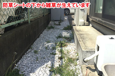 神奈川県寒川町 背が高い　目隠しフェンス施工事例　新型コロナウイルス感染症対策　換気