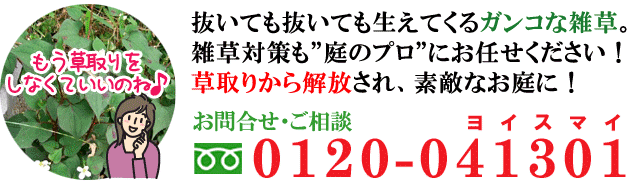 ガンコな雑草はプロにお任せ 庭 ガーデン エクステリア 造園 剪定 雑草 除草 草取り お庭のリフォームはグリーンパトロール 神奈川県・鎌倉市