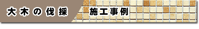 大木の伐採 施工事例 大木の伐採はグリーンパトロール  (茅ヶ崎市・寒川町・藤沢市・鎌倉市・平塚市）