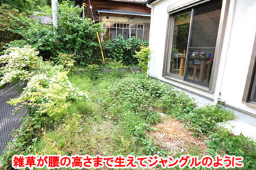 神奈川県鎌倉市 雑草対策 ウッドデッキ 外構施工事例