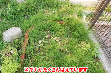 神奈川県鎌倉市 雑草対策 ウッドデッキ 外構施工事例