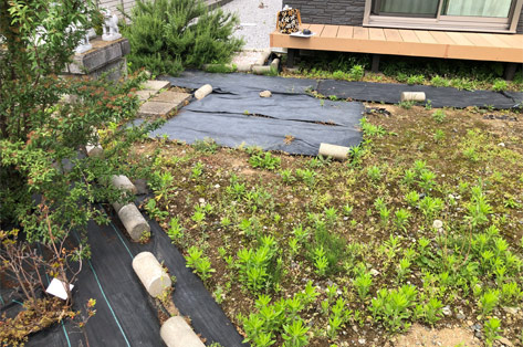 神奈川県茅ヶ崎市S様邸 施工前 土のままの庭