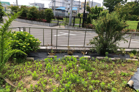 神奈川県茅ヶ崎市S様邸 施工前 掃き出し窓前 目隠し