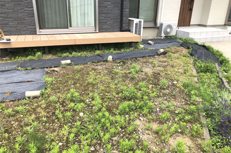 神奈川県茅ヶ崎市S様邸 施工前 ウッドデッキ周辺の様子