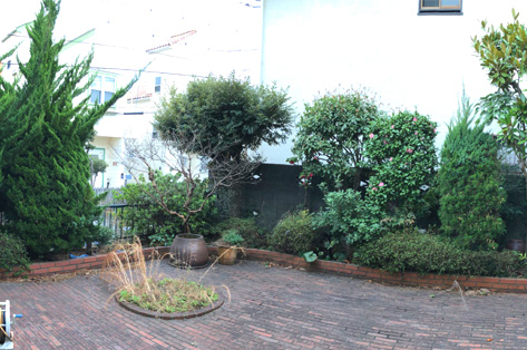 成長した植栽 施工前 茅ヶ崎市K様