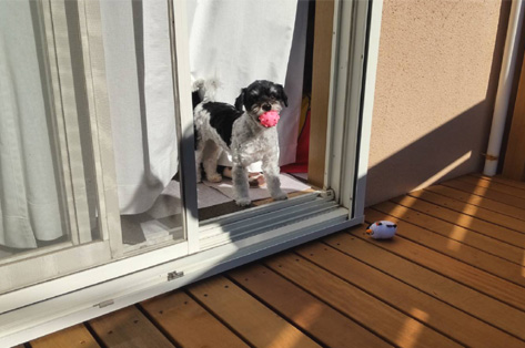 茅ヶ崎市I様 ワン(犬)ちゃんの憩いの場