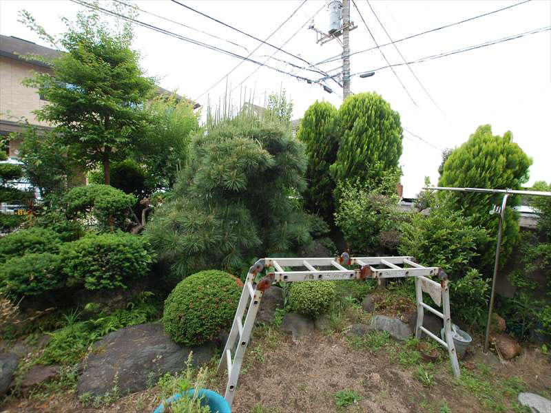 藤沢市 S様 施工前 庭木が多い