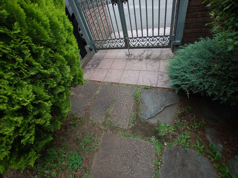 藤沢市 S様 施工前 門扉廻り草が生えている