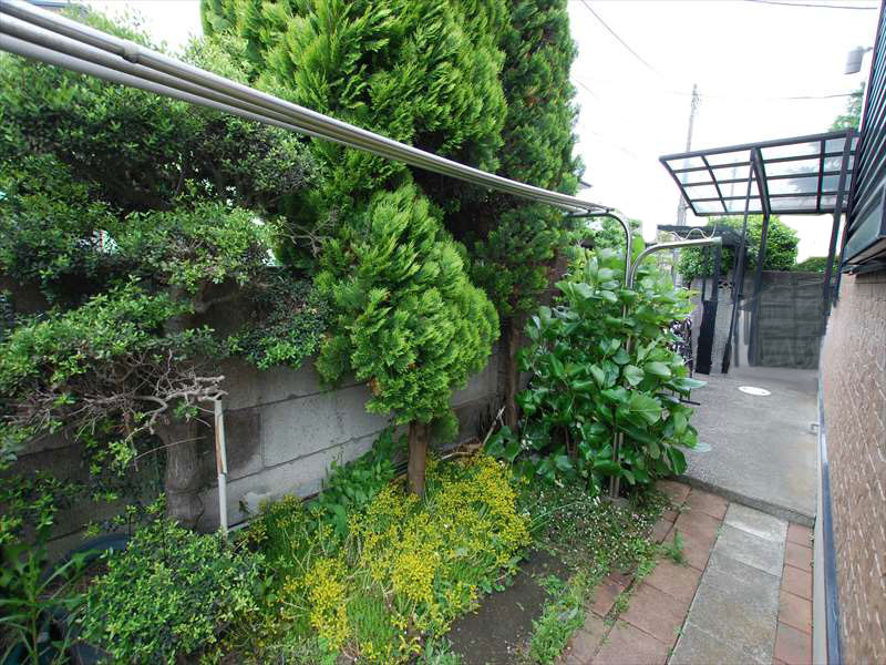 藤沢市 S様 施工前 グランドカバーが伸びきっている