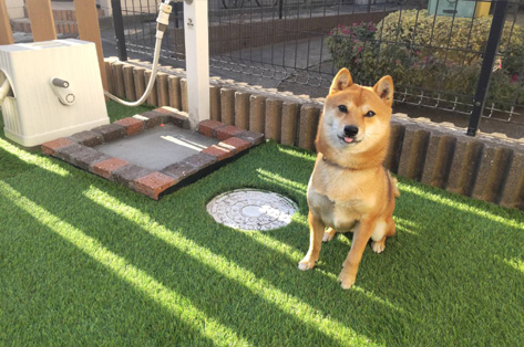 藤沢市M様 ドッグヤード