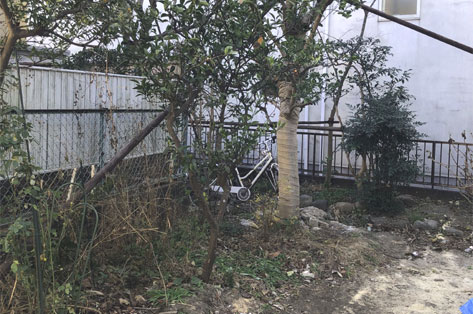 神奈川県 鎌倉市 中古物件の一軒家(住宅)を購入後の庭リフォーム・庭工事 菜園スペース 施工前