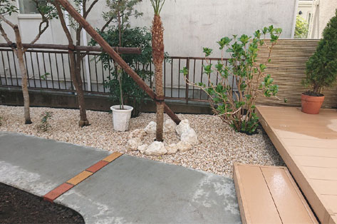 神奈川県 鎌倉市 中古物件の一軒家(住宅)を購入後の庭リフォーム・庭工事 ヤシの木植栽 施工後