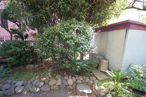 神奈川県川崎市高津区 古い物置処分 施工前