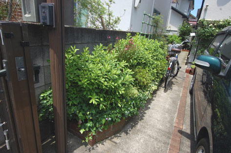 神奈川県川崎市宮前区 サツキの花壇 施工前