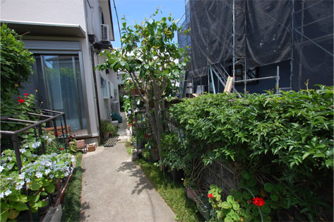 神奈川県川崎市宮前区 フェンス沿い植物・庭木 施工前