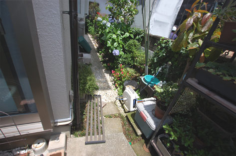 神奈川県川崎市宮前区 フェンス沿い植物・庭木 施工前