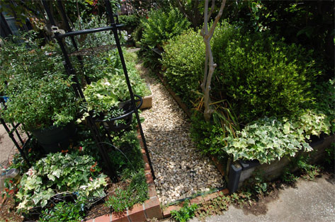 神奈川県川崎市宮前区 ガーデニング・庭 施工前