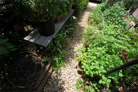 神奈川県川崎市宮前区 ガーデニング・庭 施工前