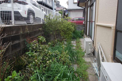 横浜市M様邸 2回目施工前・飛石も通れないほどの草