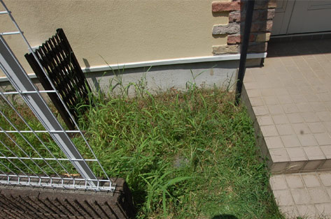 横浜市 O様邸 家周り西側 施工前